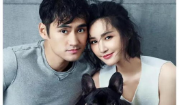 明星吃瓜爆料最新视频下载,独家揭秘娱乐圈幕后真相